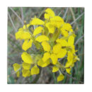 Suche nach kleine blumen fliesen Wildblumen