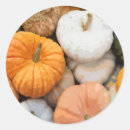 Recherche de gourdes autocollants Citrouille