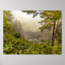 Suche nach forst poster Wälder