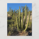Recherche de tuyau cartes postales Nature