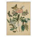 Suche nach bühnen postkarten Botanisch