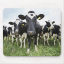 Suche nach rind kuh mousepads Vieh