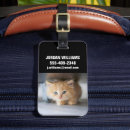 Suche nach pets accessoires Kitten