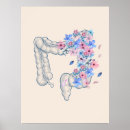 Recherche de intestin posters Médecin