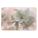 Recherche de fleur de pomme magnets Floraison