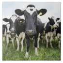 Suche nach ländliche szene fliesen Landwirtschaft