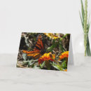 Suche nach monarch karten Blume