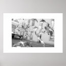 Suche nach gerahmte poster Vögel