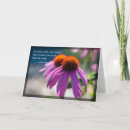 Recherche de echinacée vœux cartes Fleur