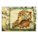 Recherche de conique cartes postales Conque