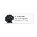 Recherche de labradoodle Chiens
