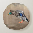 Suche nach flug kissen Natur