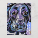 Suche nach happy labrador postkarten Schwarzer labrador retriever