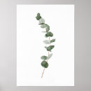 Suche nach eukalyptus blätter poster Grün
