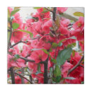 Suche nach exotische fliesen Blüte