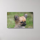 Suche nach sprachen leinwandbilder Welpe