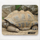 Recherche de mousepad nature tapis souris Zoo