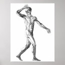 Suche nach vintage anatomie poster Muskeln