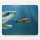 Suche nach haifische mousepads Tier