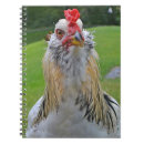 Suche nach hahn notizbuch Huhn