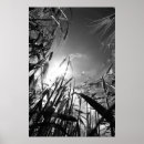 Suche nach getreide poster Felder