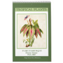 Recherche de vintage calendriers Tropical