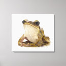 Suche nach reptilien kunst Frosch