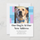 Recherche de race de chien invitations Changement d'adresse
