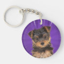 Suche nach yorkshire terrier schlüsselanhänger Hundefreund