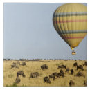 Suche nach masai fliesen Säugetier