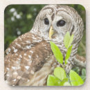 Suche nach braune eule untersetzer Natur