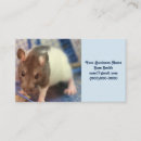 Suche nach ratte visitenkarten Haustier