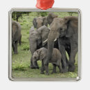 Suche nach afrikanischer elefant ornamente Tansania