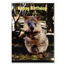 Recherche de quokka cartes postales Australien