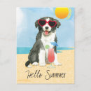 Recherche de bordure cartes postales Collie frontière