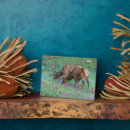 Suche nach geweihe haustier fotoplatten Colorado