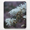 Suche nach magnolien mousepads Rosa
