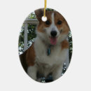 Recherche de corgi ornements Chien