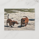 Suche nach dackeln visitenkarten Hund