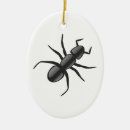 Suche nach ameise ornamente Tier