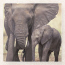 Suche nach lebensraum untersetzer Umwelt