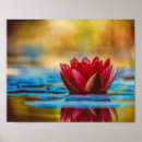 Suche nach wasserlilien poster Natur