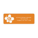 Recherche de fleurs de ketmie Hawaïen