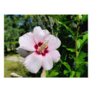 Suche nach weiße tropische blume poster Blumenreich