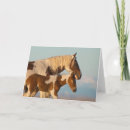 Suche nach big sister karten Tier