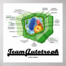 Suche nach biology alle poster Biologe