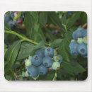 Suche nach blaubeere mousepads Frucht