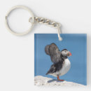 Suche nach puffin schlüsselanhänger Natur