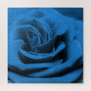 Recherche de macros puzzles Rose