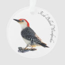 Recherche de ventre ornements Oiseau